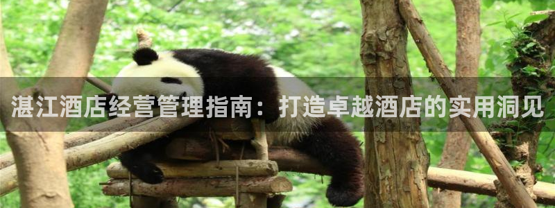 凯发k8国际唯一