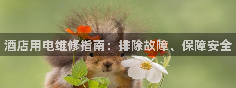 凯发k8天生赢家一触即发